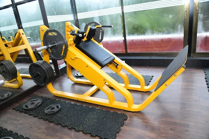 Norbert's Fitness Studio