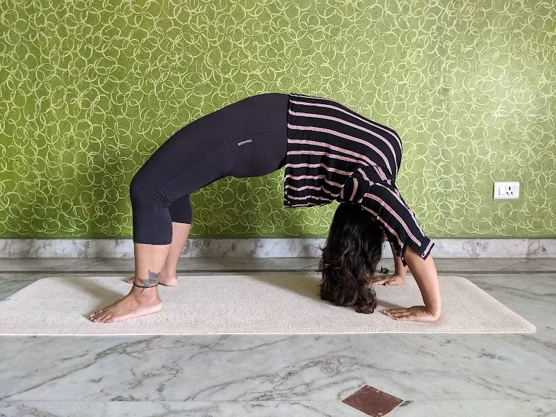 Barkha Yoga Studio | Most Trusted Yoga Studio in Delhi