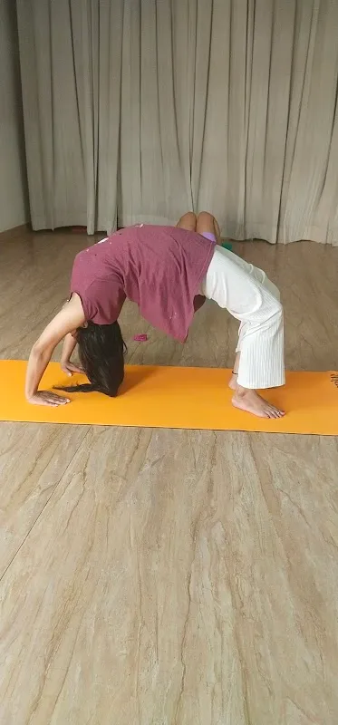 Barkha Yoga Studio | Most Trusted Yoga Studio in Delhi