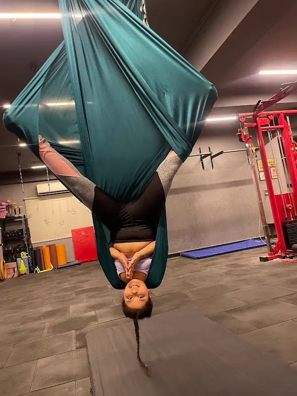 Flex and Flow fitness studio | AERIAL YOGA, PILATES & CALISTHENICS