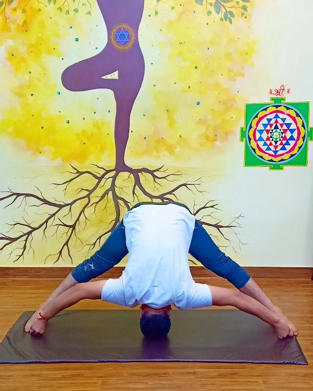 International World Yoga Alliance
