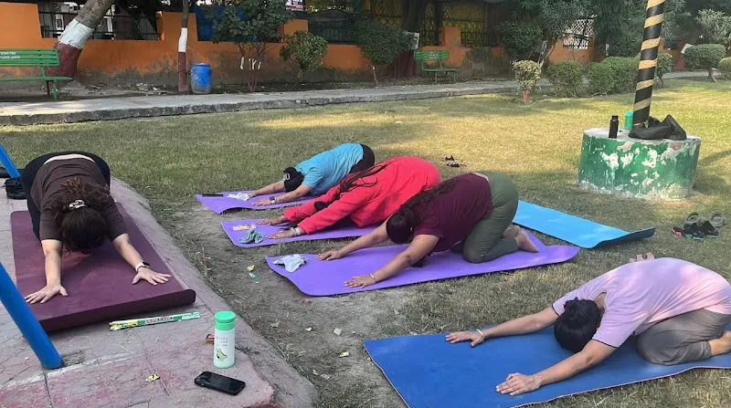 Rare Yoga Studio