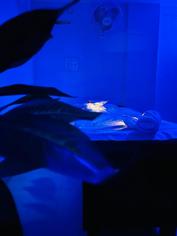 AQUA THAI SPA