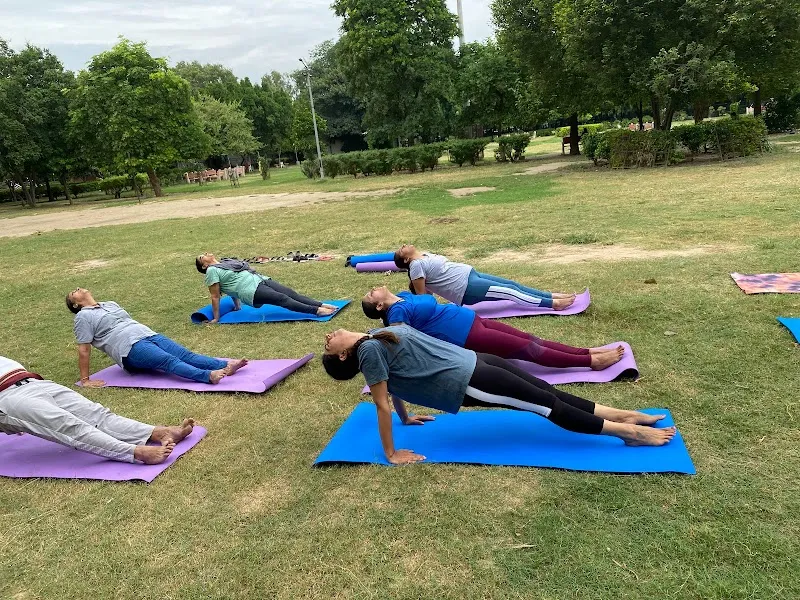 Yogkasagar -online ,offline and hybrid yoga classes