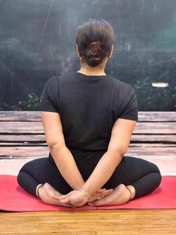 Yogkasagar -online ,offline and hybrid yoga classes
