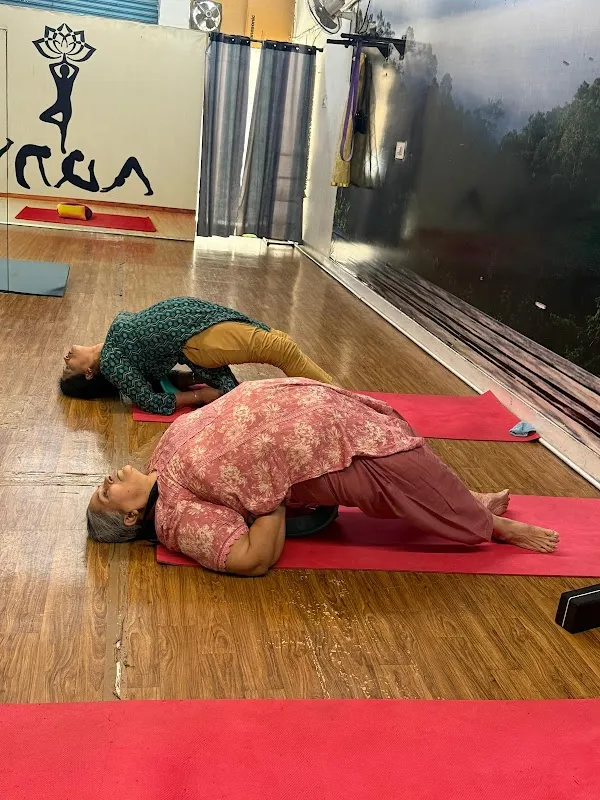Yogkasagar -online ,offline and hybrid yoga classes