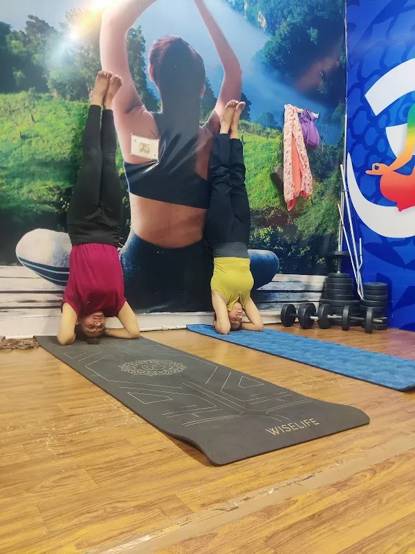 Yogkasagar -online ,offline and hybrid yoga classes