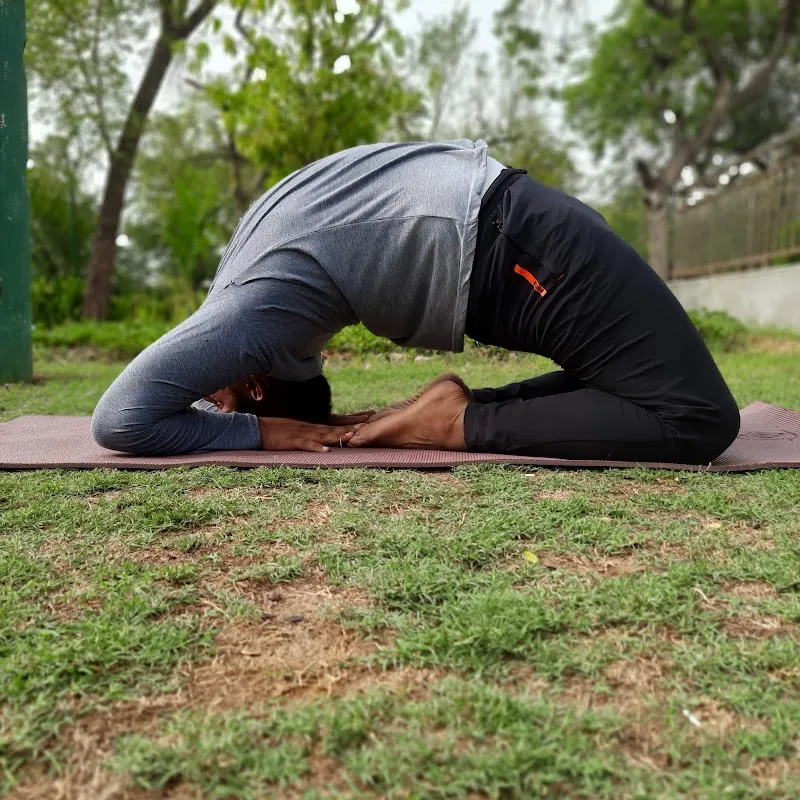 Yogkasagar -online ,offline and hybrid yoga classes