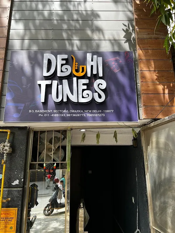 Delhi Tunes