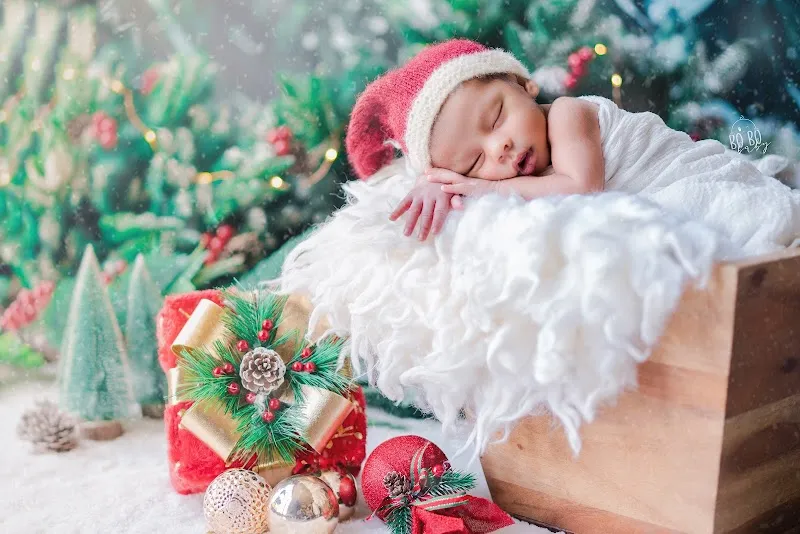 Bo Bo Baby Photography