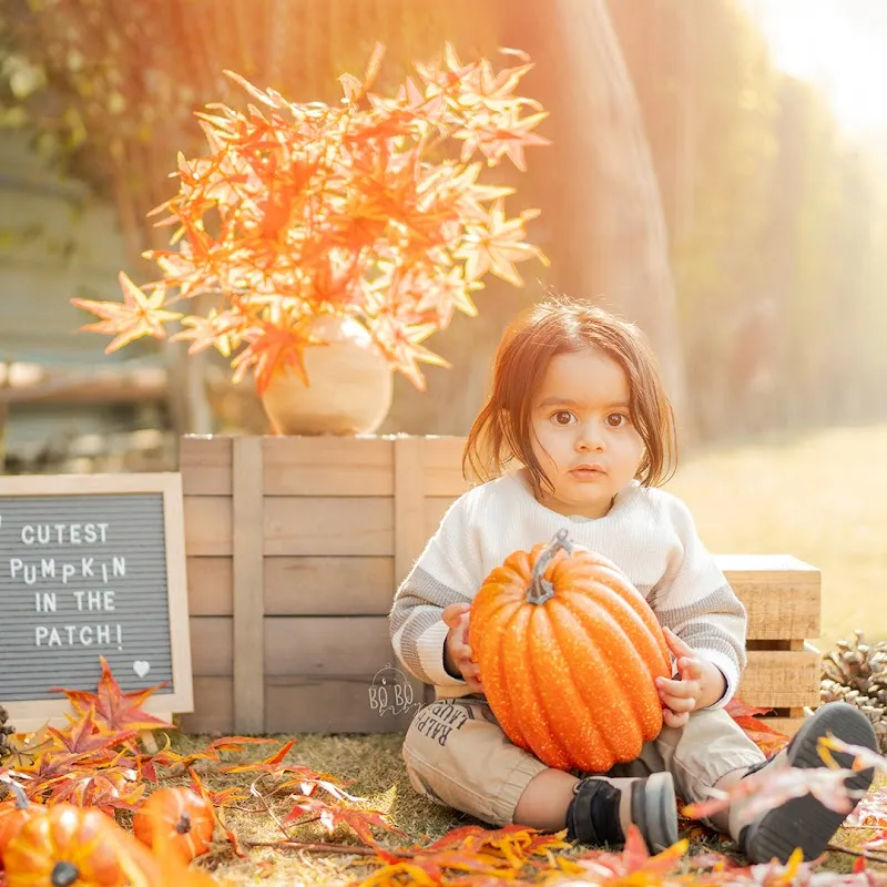 Bo Bo Baby Photography