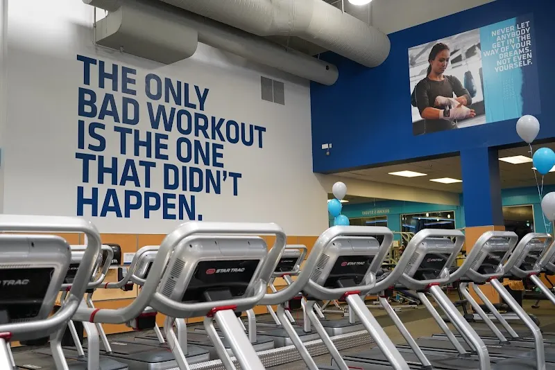 UFC FIT Plantation