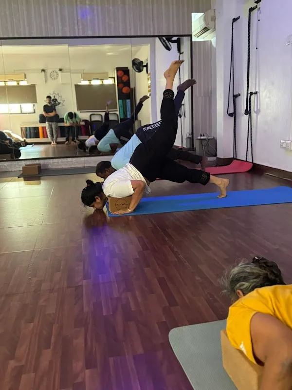 Ace Yoga