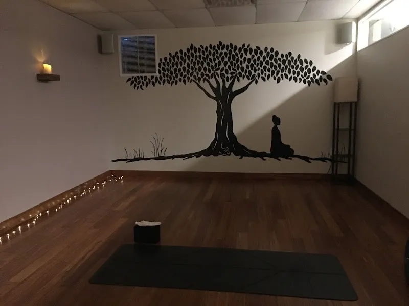 Flow Yoga Studios - Wilson Mills