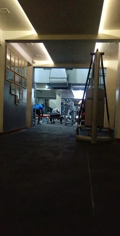Maximum Health & Fitness