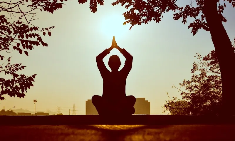 Safiya's Yoga and Fitness Class