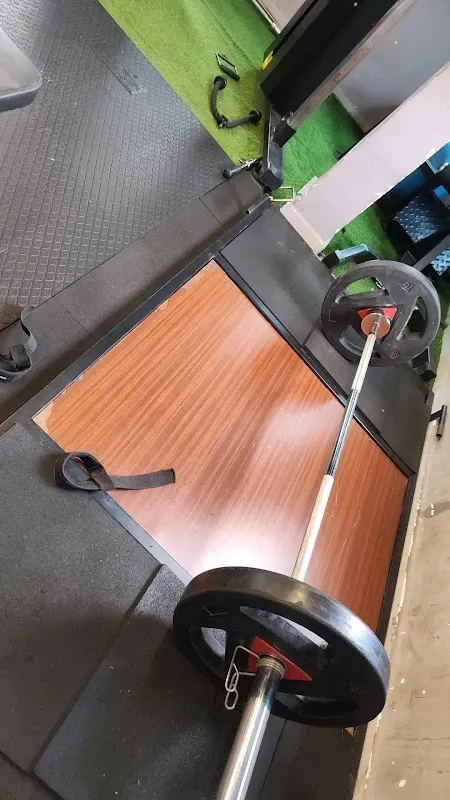 FIT365 : GYM & WELLNESS