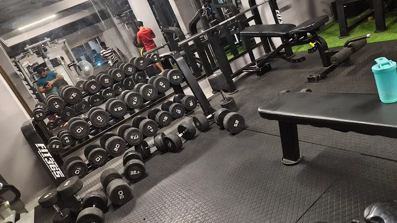 FIT365 : GYM & WELLNESS