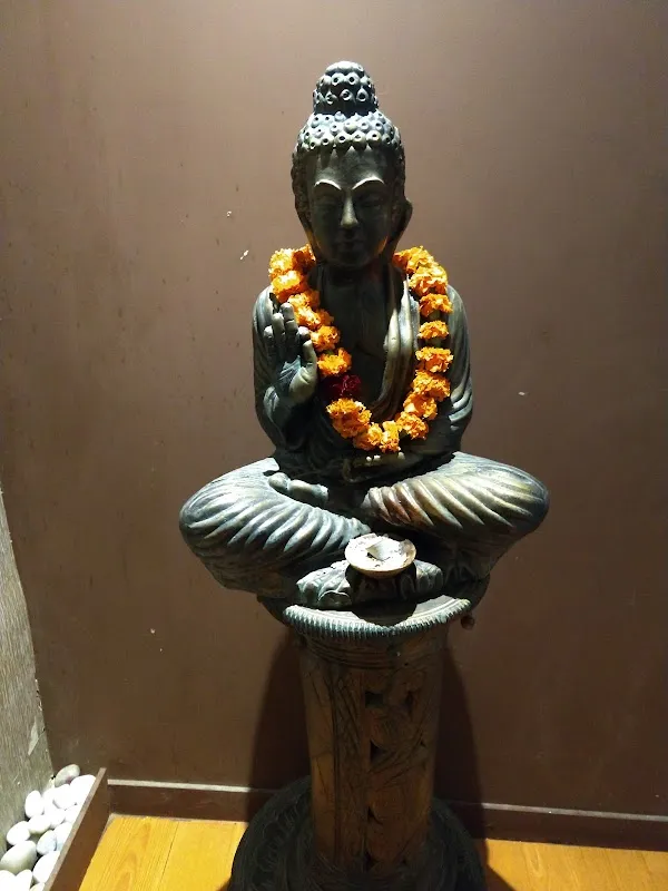 Cocoon Spa: The Art of Wellness, Kalkaji | Delhi | Best Spa | Best Family Spa Chain of Delhi NCR |
