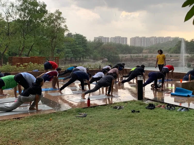 Fitness Lifestyle Yoga FLY