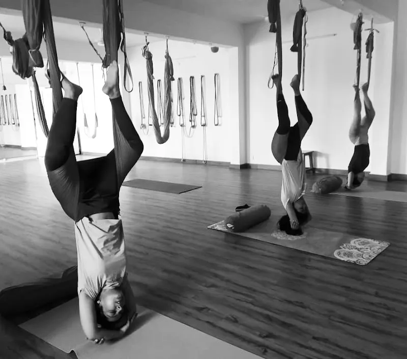 Fitness Lifestyle Yoga FLY