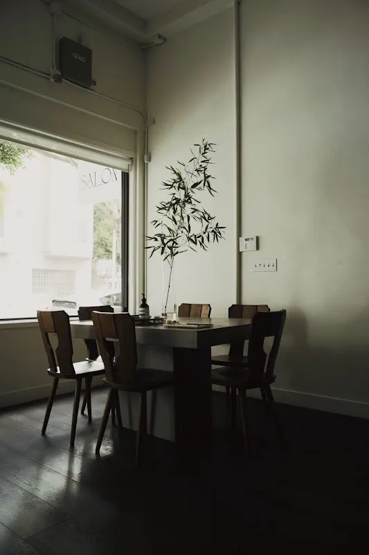 The Lane Salon