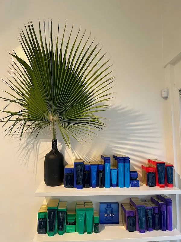 The Lane Salon