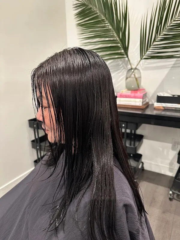 The Lane Salon