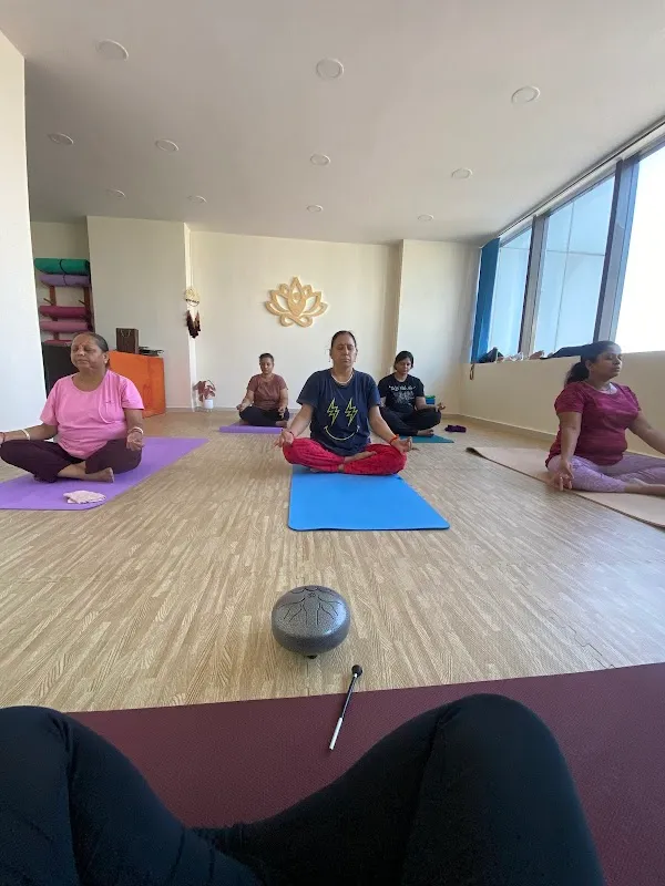 The Flow - by Neha (Pilates & Yoga Studio)
