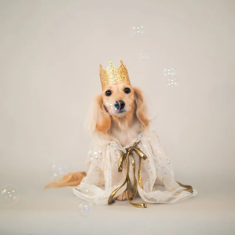 Shine & I Photo Studio