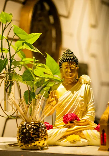 Tourists Wellness Thai Spa - Best Spa in Vizag
