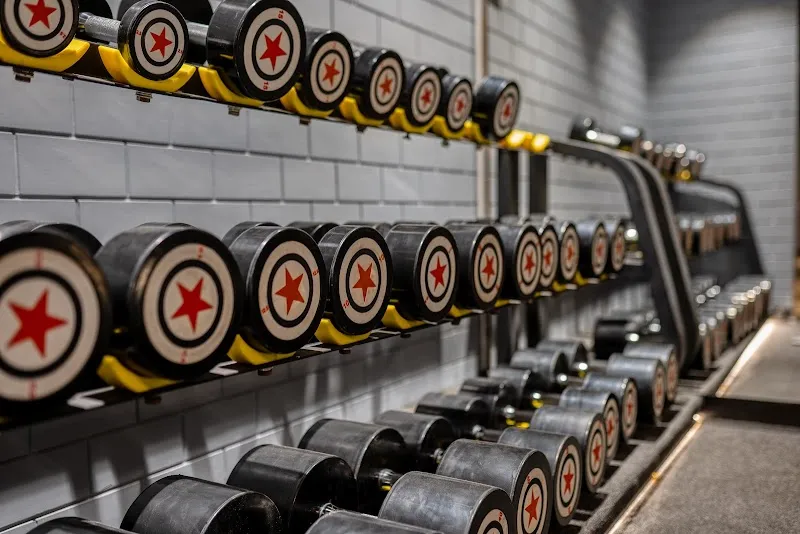 Body Pulse The Fitness Hub