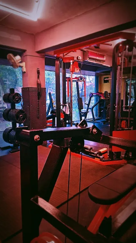 My Fitness World