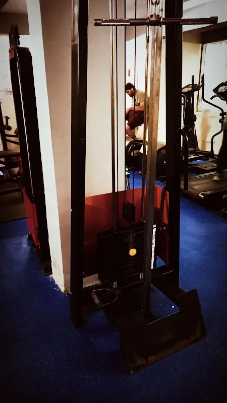 My Fitness World