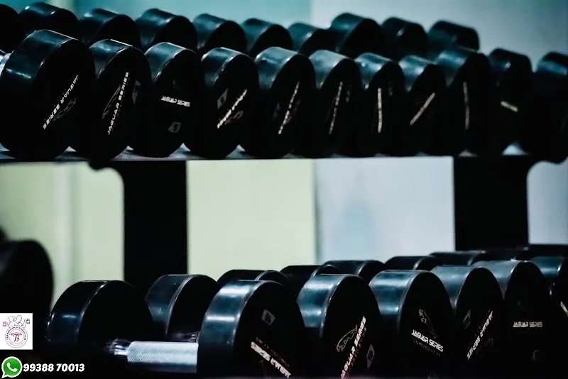 Transform Fitness Hub | Best Unisex Gym