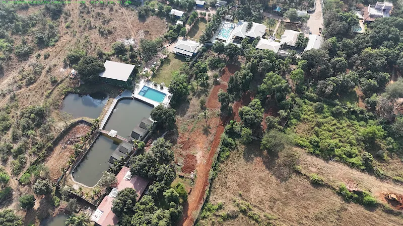 Venus Studio - Specialist in Drone Photography, Videography