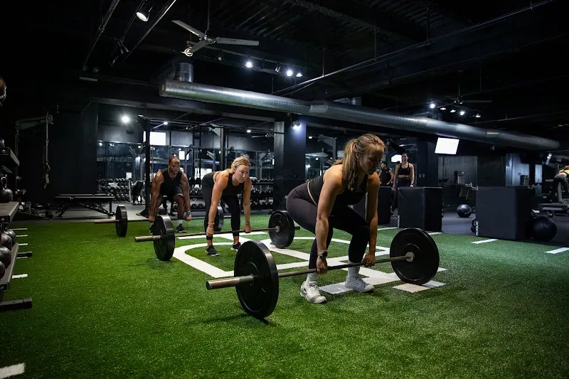 Body High Fitness
