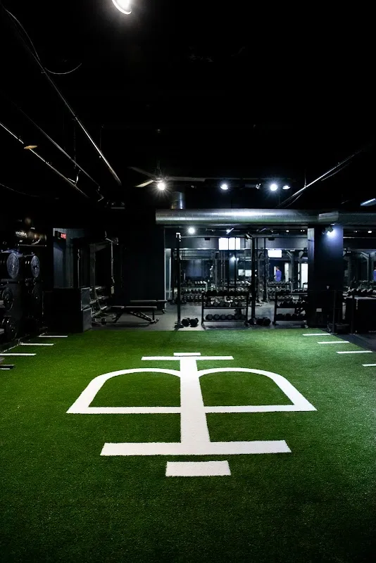 Body High Fitness