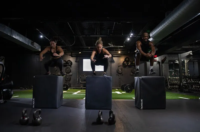 Body High Fitness