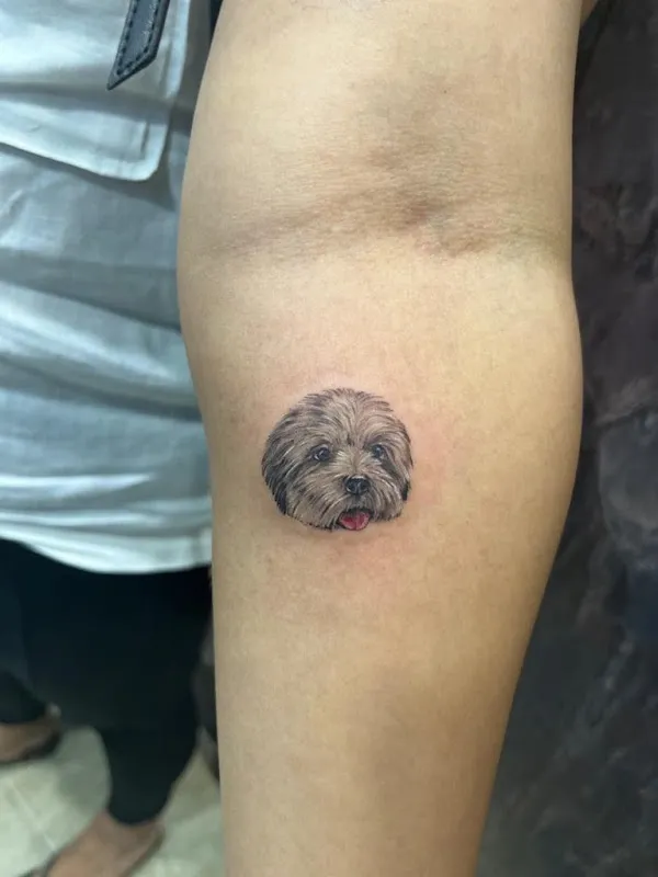 My Ink The Tattoo Galaxy
