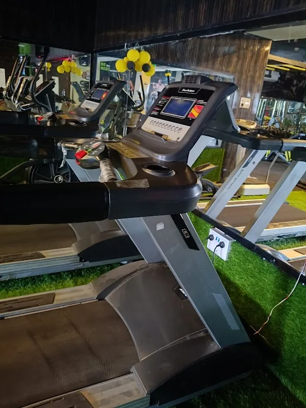 EXOTIC GYM AND FITNESS