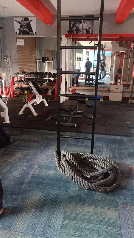 Muscle Magic Fitness Centre