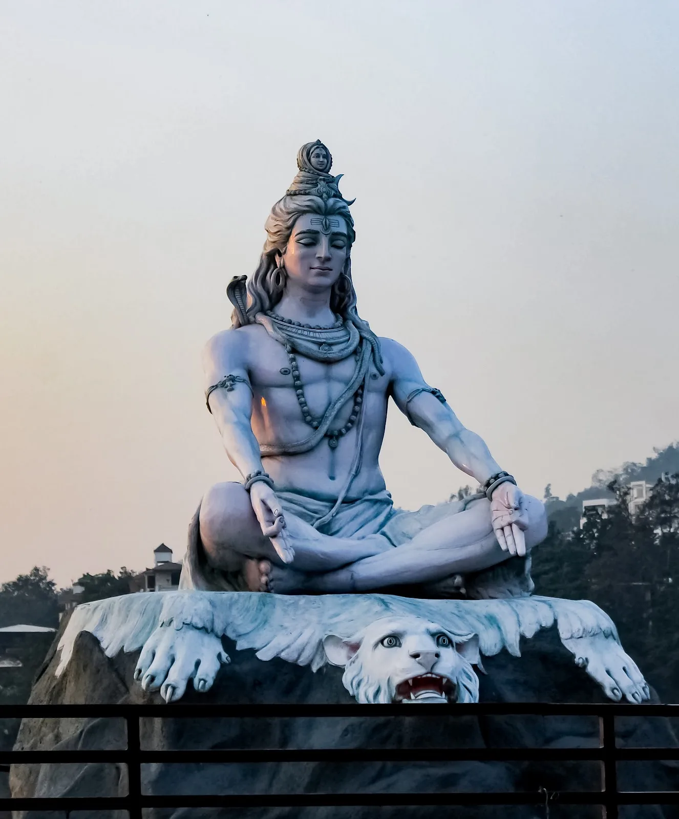 YOGA SCIENCE INSTITUTE – Best Yoga Centre in Vizag