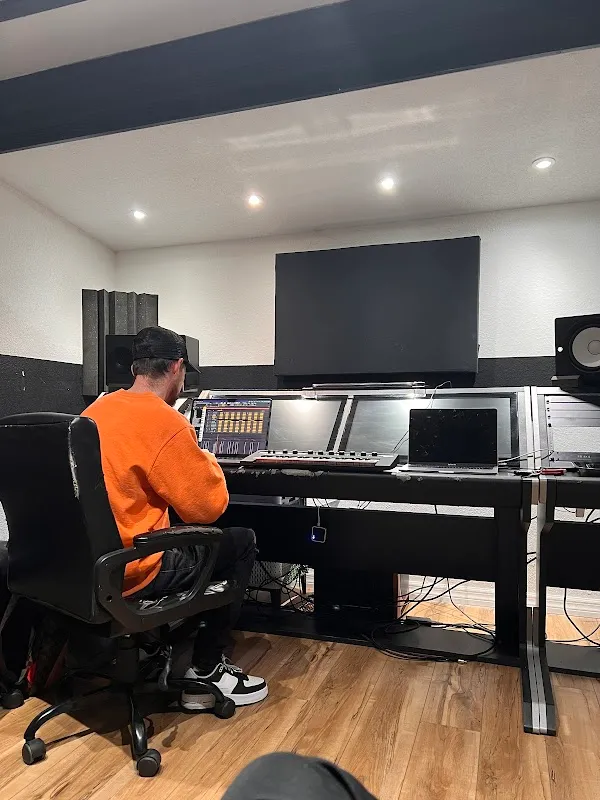 VIVID STUDIOS FL