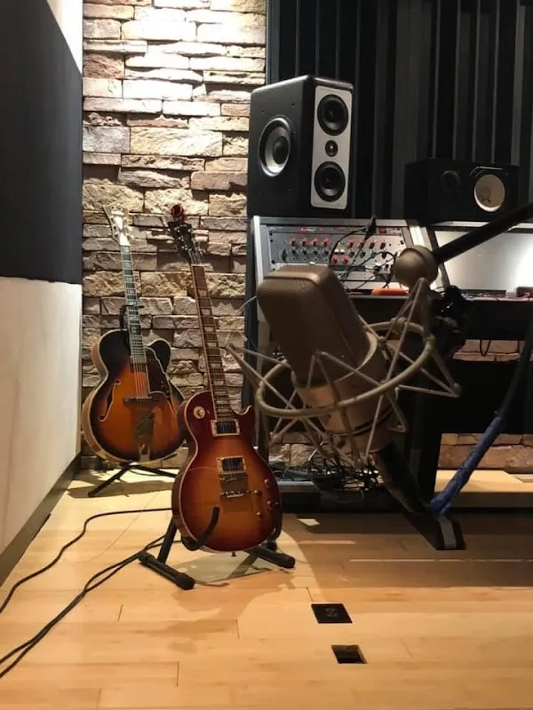 VIVID STUDIOS FL