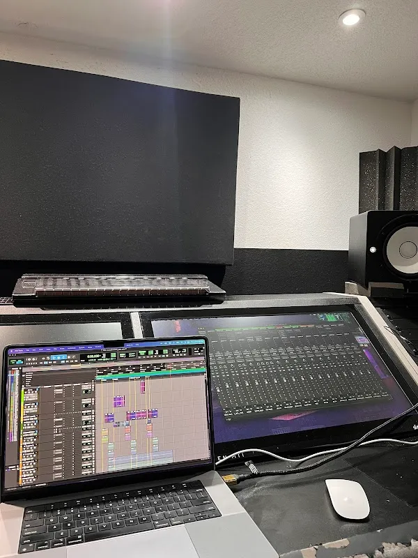 VIVID STUDIOS FL