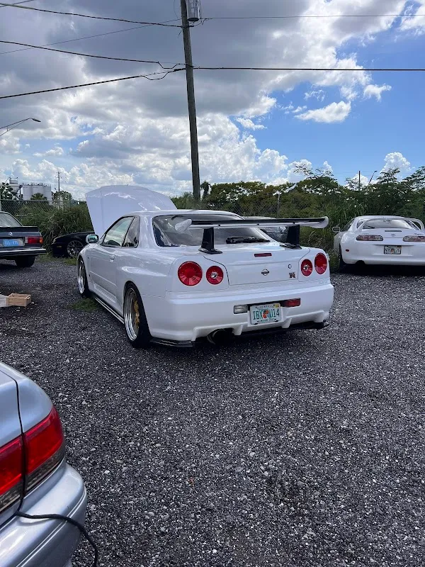 VIVID STUDIOS FL