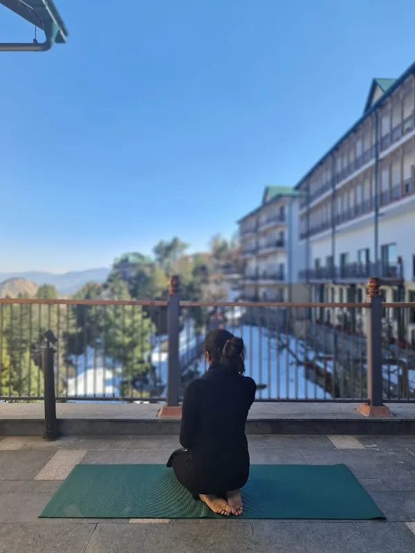 Yoga Wings Nishal Desai