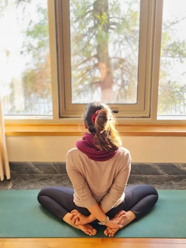 Yoga Wings Nishal Desai