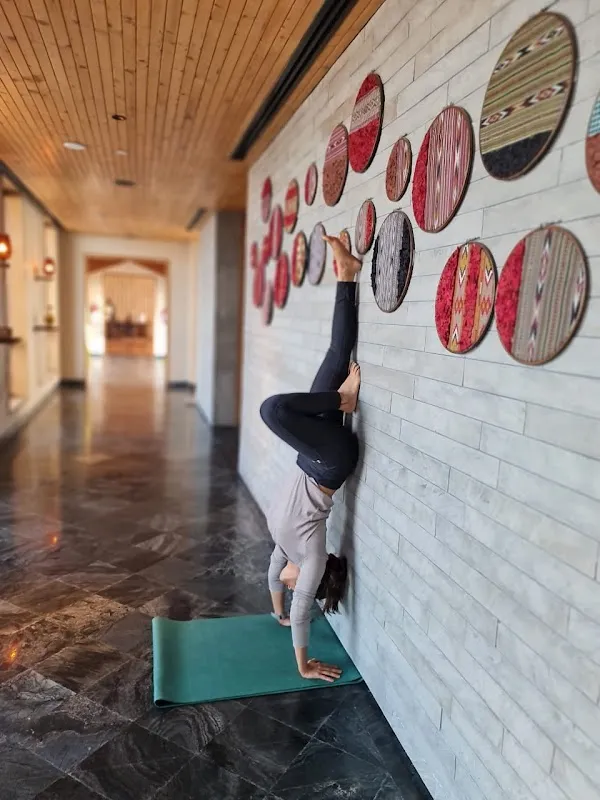 Yoga Wings Nishal Desai